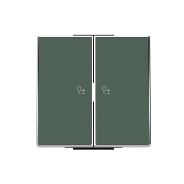 8596.23 CM Rocker dim.2 ch. for Switch/dimmer, Two-part button Green - Sky Niessen image 1