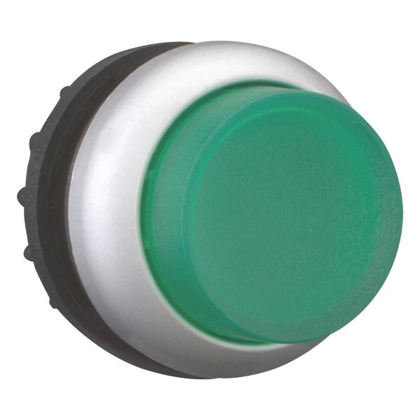 Illuminated pushbutton actuator, RMQ-Titan, Extended, maintained, green, Blank, Bezel: titanium image 14