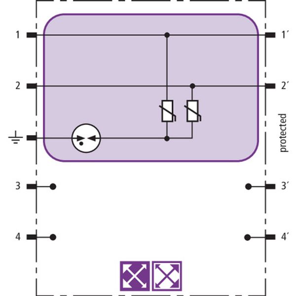 BLITZDUCTOR XT surge protection module image 3