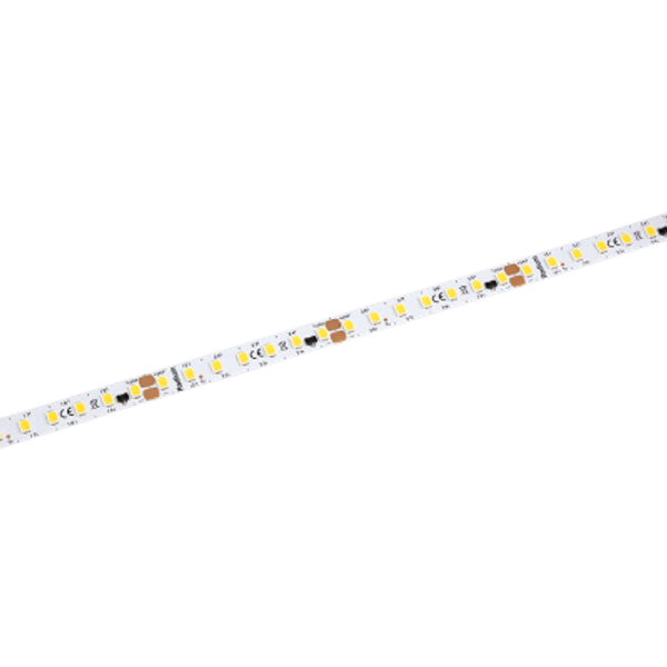 LED Star Strip 1700, LED STRIP 1700 S 840/24V 50M image 1