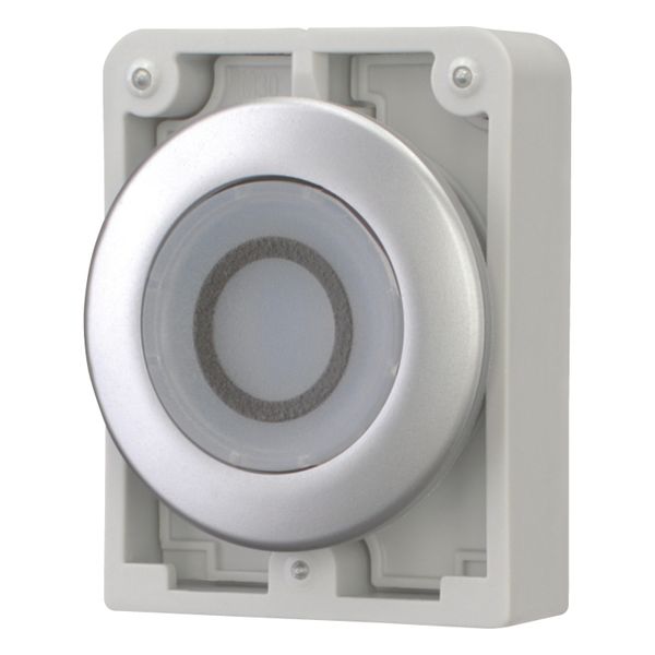 Illuminated pushbutton actuator, RMQ-Titan, Flat, maintained, White, inscribed 0, Metal bezel image 3