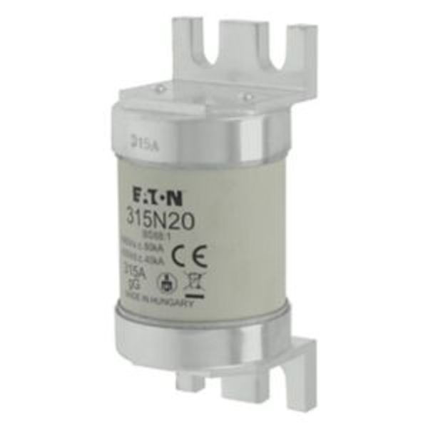 Fuse-link, low voltage, 315 A, AC 660 V, BS88, 49 x 110 mm, gL/gG, BS image 15