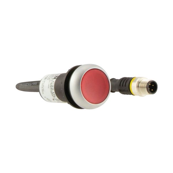 Illuminated pushbutton actuator, Flat, momentary, 1 NC, Cable (black) with M12A plug, 4 pole, 1 m, LED Red, red, Blank, 24 V AC/DC, Bezel: titanium image 14