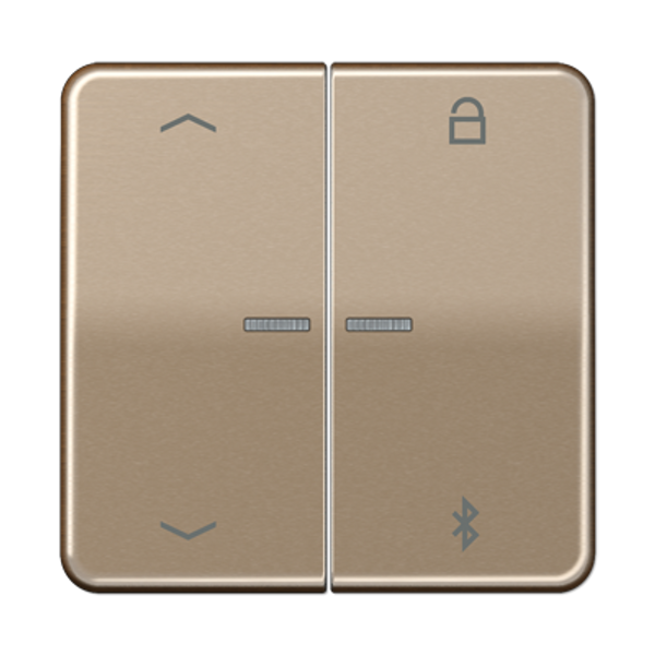 KNX room temperature controller CD2178GR image 6