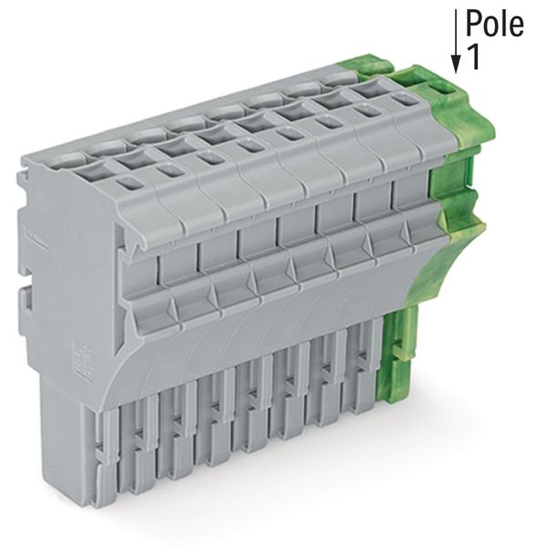 1-conductor female connector Push-in CAGE CLAMP® 4 mm² gray, green-yel image 1