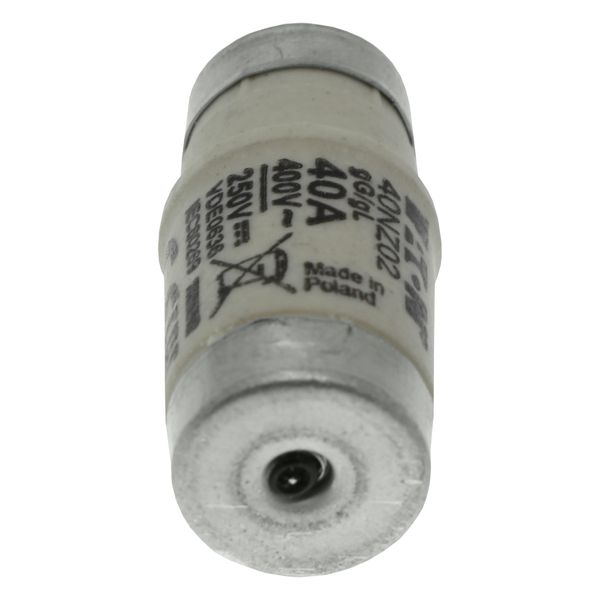 Fuse-link, LV, 40 A, AC 400 V, D02, gL/gG, IEC, time-delay image 24