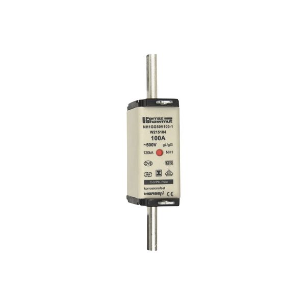 Fuse-link NH1 gG 500VAC 100A isolated tags Double indicator image 1