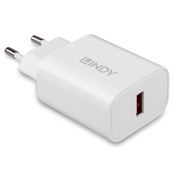 18W USB Type A Charger Fast charging via a USB Type A cable image 1