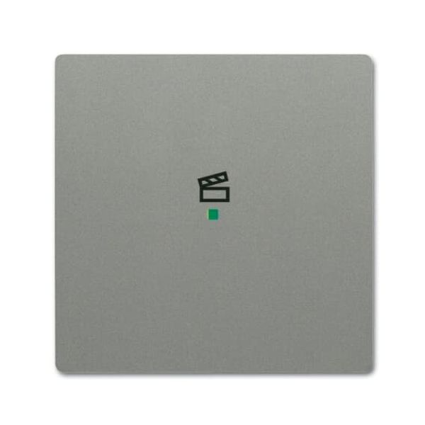 SRS-1-803 Electronic Controls free@home grey metallic - 63x63 image 1