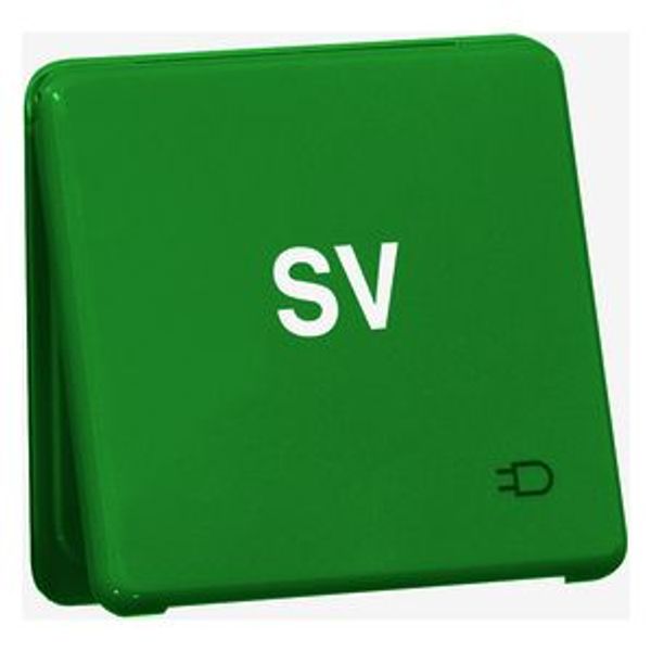 STANDARD wcd 1-voudig, met ra, schroefklapdeksel, opdruk SV, groen image 1