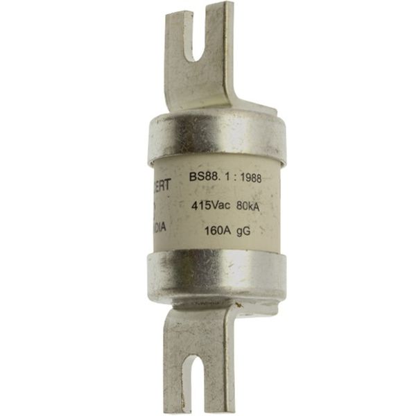 Fuse-link, low voltage, 160 A, AC 415 V, BS88, 31 x 91 mm, gL/gG, BS image 4