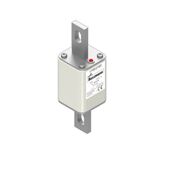 Fuse-link, high speed, 80 A, AC 500 V, 45 x 45 x 141 mm, aR, IEC, with indicator image 12