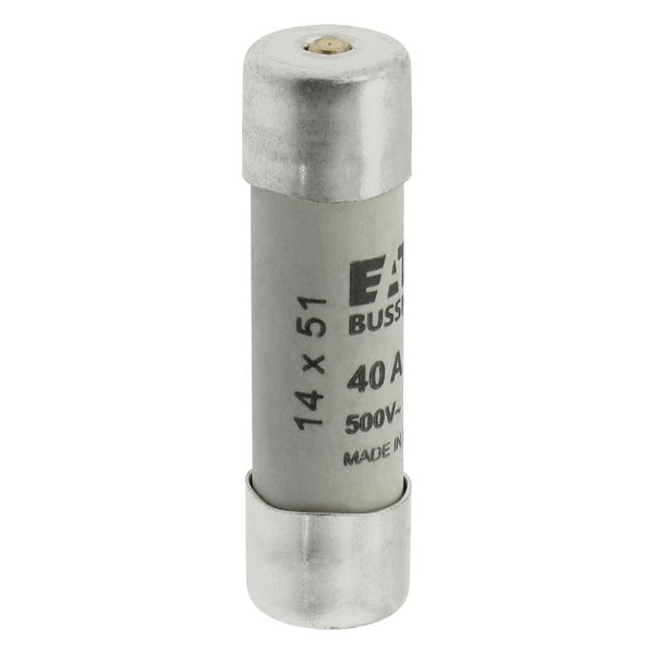 Fuse-link, LV, 40 A, AC 500 V, 14 x 51 mm, gL/gG, IEC, with striker image 23