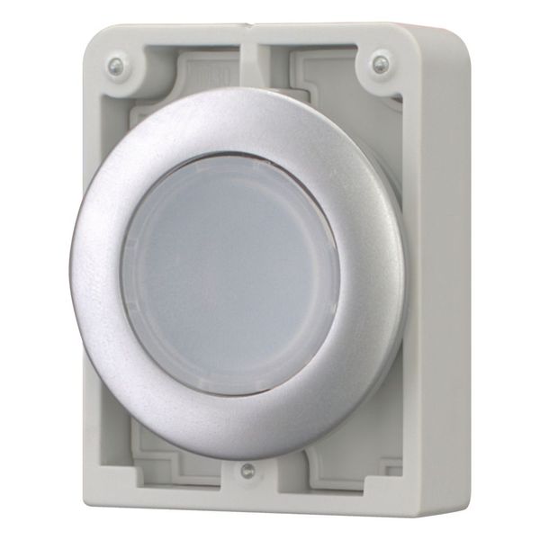 Illuminated pushbutton actuator, RMQ-Titan, Flat, maintained, White, Blank, Metal bezel image 12