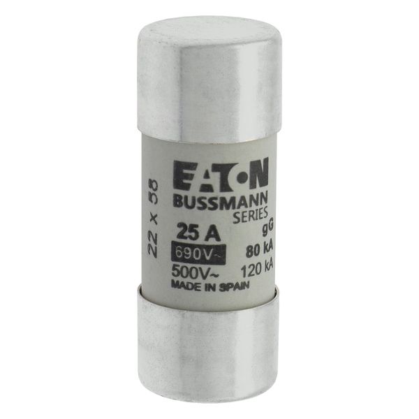 Fuse-link, LV, 25 A, AC 690 V, 22 x 58 mm, gL/gG, IEC image 7