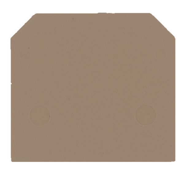 End plate (terminals), 40 mm x 1.5 mm, dark beige image 1