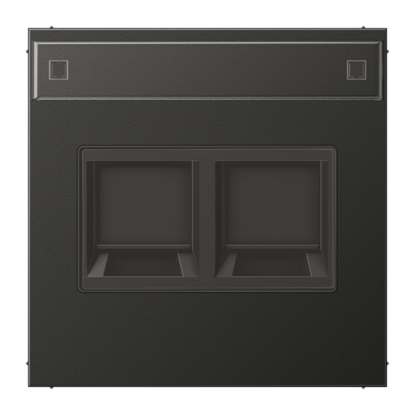 Centre plate for MJ f. 2 sockets AL1969-25NAWEAN image 1