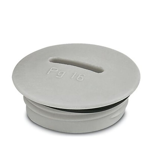 Screw plug image 1