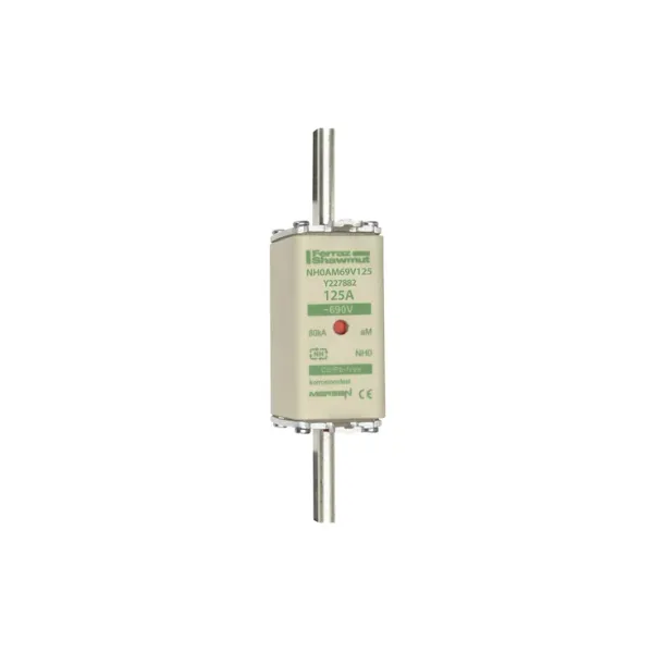 Fuse-link NH0 aM 690VAC 125A live tags Double indicator image 2