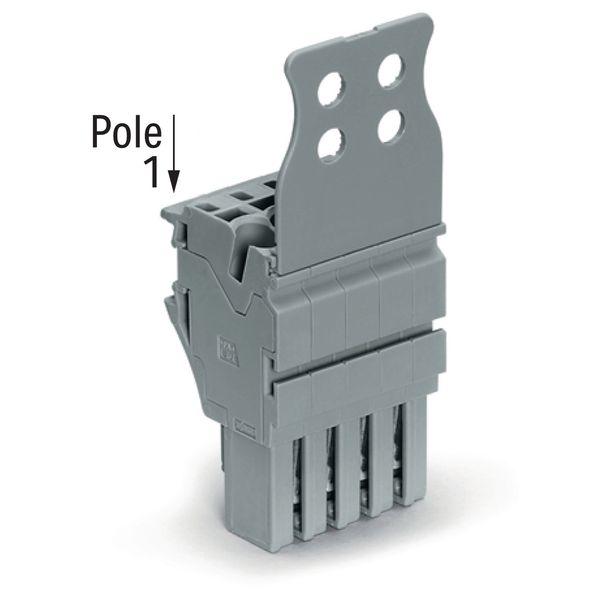 1-conductor female connector Push-in CAGE CLAMP® 4 mm² gray image 2