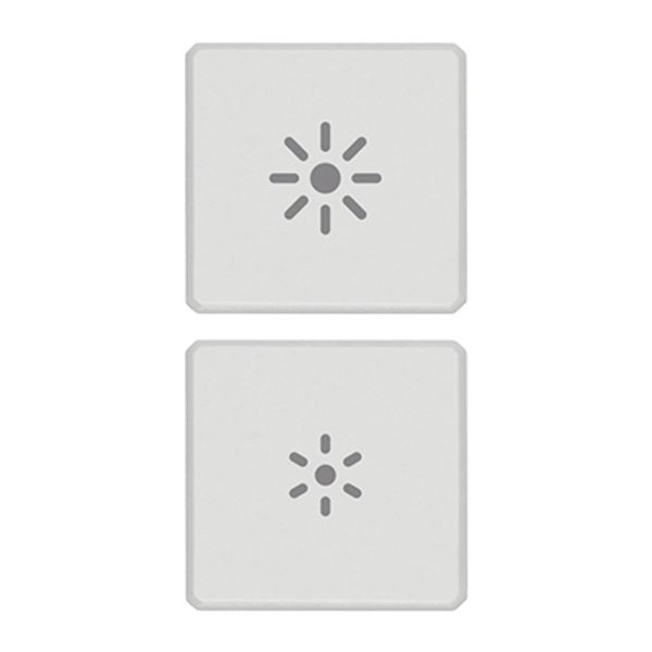 2 buttons Flat regulation symbol white image 1