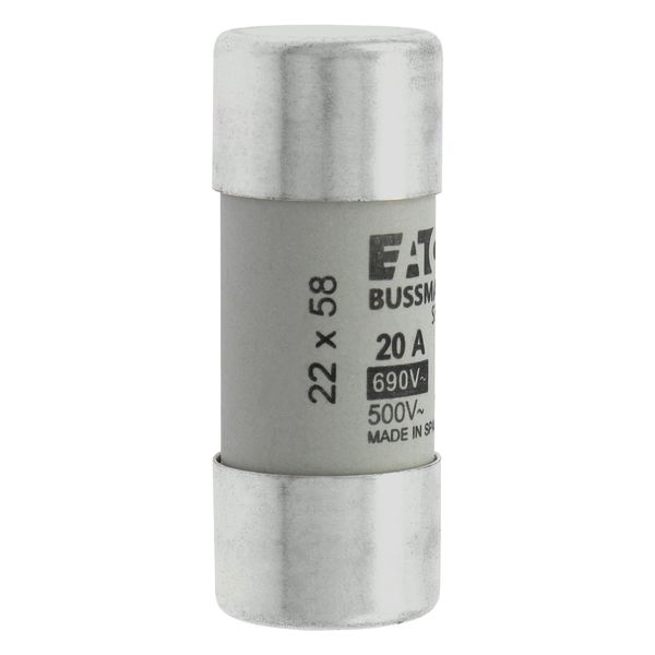 Fuse-link, LV, 20 A, AC 690 V, 22 x 58 mm, gL/gG, IEC image 11