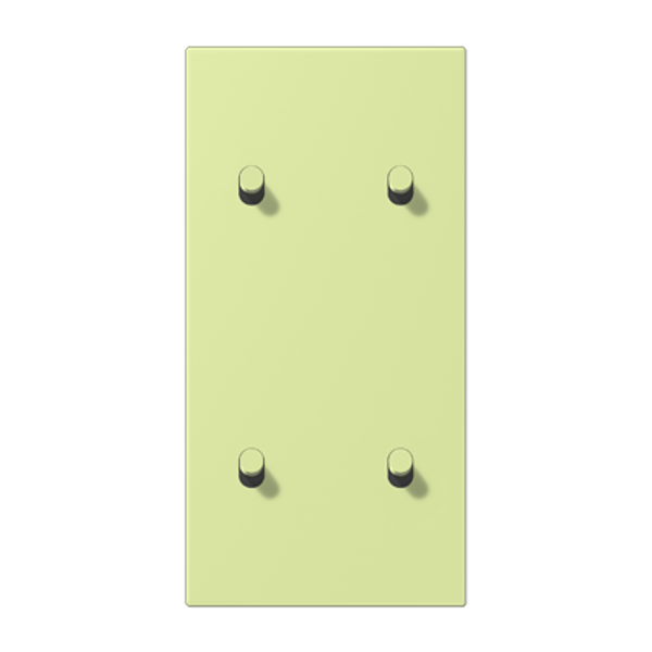 Centre plate with toggle lever "cylinder LC12-25R0222 image 1