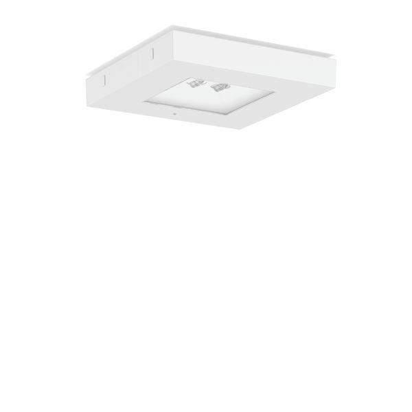 CENTRYXX IP65, 6,9 W, 490 lm, 765, white, on/off Ceiling luminaires, L image 1