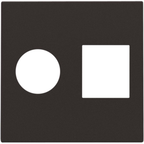 Finishing set for single coaxial connection and network connection RJ4 image 1