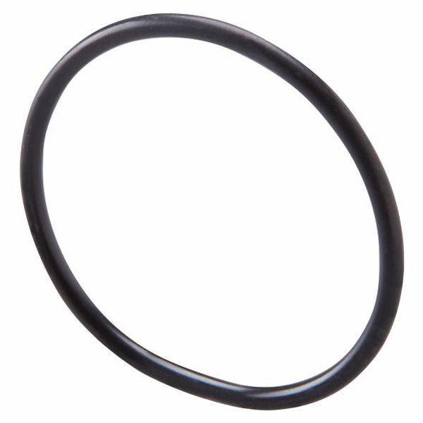 O-RING GASKET - FOR CLOSURE CAPS - PG29 PITCH image 2