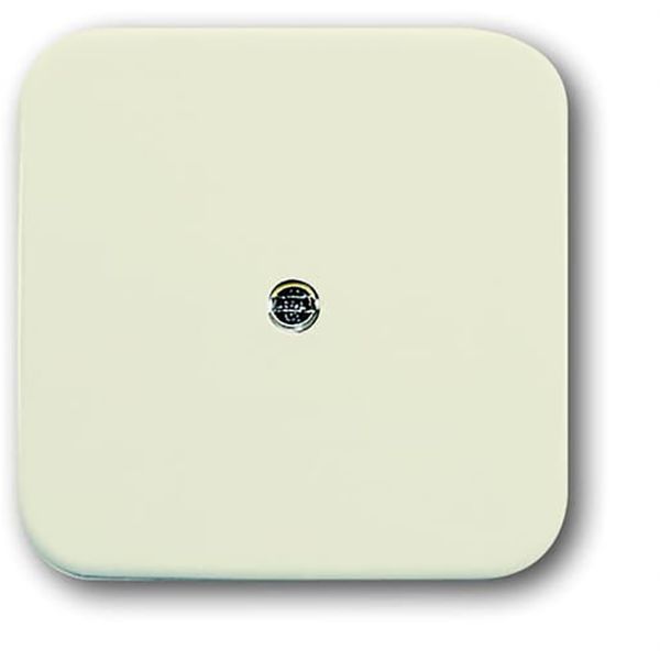 2536-212 CoverPlates (partly incl. Insert) carat® White image 1