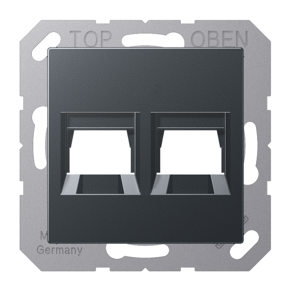 Centre plate for MJ f. 2 sockets A1569-25WEANM image 1