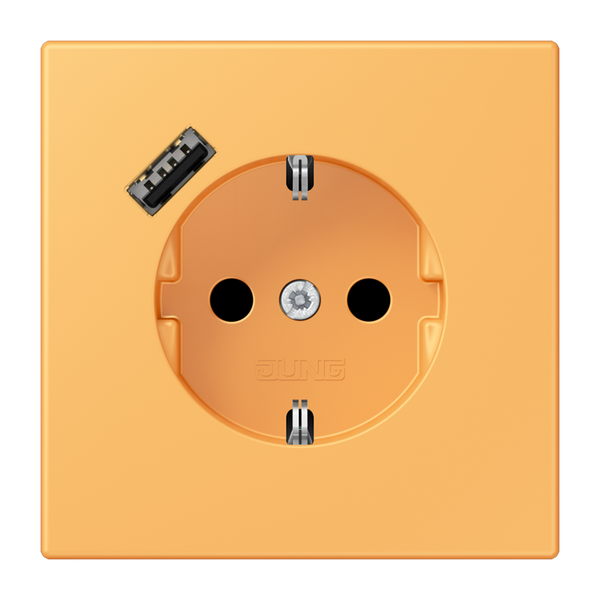 SCHUKO socket with USB charger LC4320L LC1520-18A254 image 1