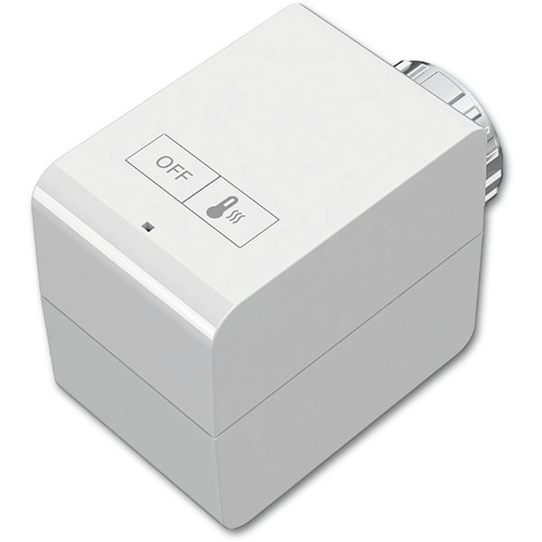 6256/1-WL WL-Rad. Thermostat, Basic image 1