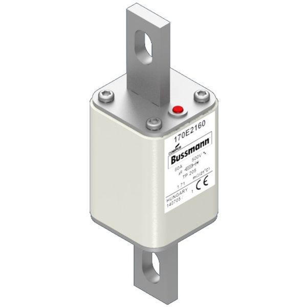 Fuse-link, high speed, 80 A, AC 500 V, 45 x 45 x 141 mm, aR, IEC, with indicator image 1