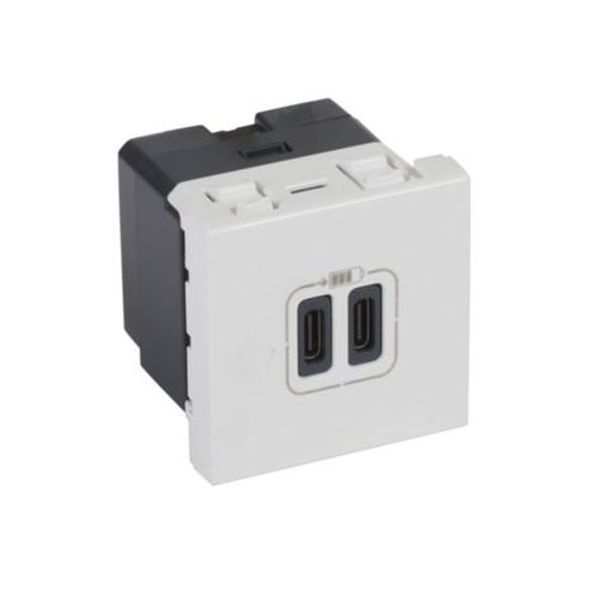 Arteor™ - 2 USB Type-C charging socket 3 A / 15 W 230 V - 5 V= - 2 modules - White image 1