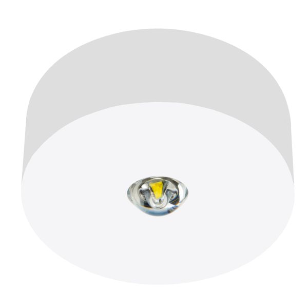 Emerg.lum.IL 1x3W ERT-LED 3h 230VAC Self C.radial surface m. image 1