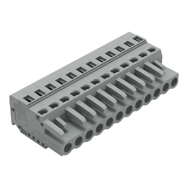 1-conductor female connector CAGE CLAMP® 2.5 mm² gray image 1