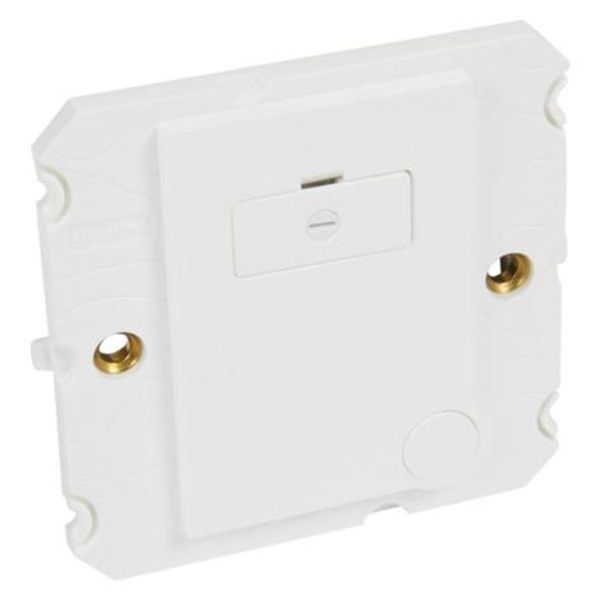 Fused connection unit Arteor - BS 1363:4 - 13 A - unswitched - white image 1