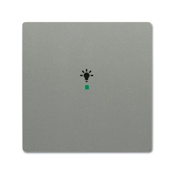 SRB-1-803 Electronic Controls free@home grey metallic - 63x63 image 3