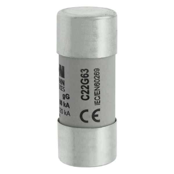 Fuse-link, LV, 63 A, AC 690 V, 22 x 58 mm, gL/gG, IEC image 17