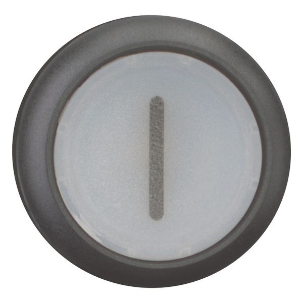 Illuminated pushbutton actuator, RMQ-Titan, Flush, maintained, White, inscribed 1, Bezel: black image 4