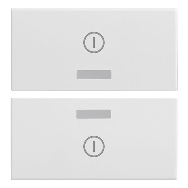 Two half-buttons 2M I/O symbols white image 1