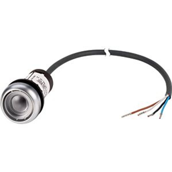 Pushbutton, Flat, momentary, 1 N/O, Cable (black) with non-terminated end, 4 pole, 1 m, Without button plate, Bezel: titanium image 5