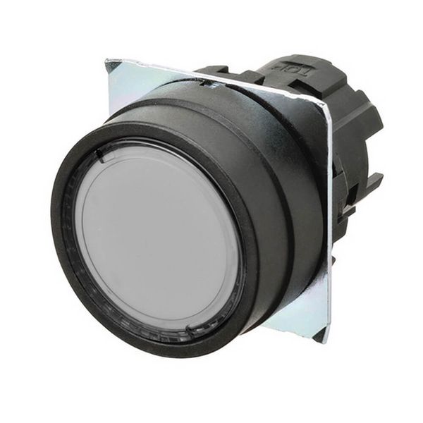 Pushbutton A22NZ 22 dia., bezel plastic, flat, momentary, cap color tr A2270010M image 1