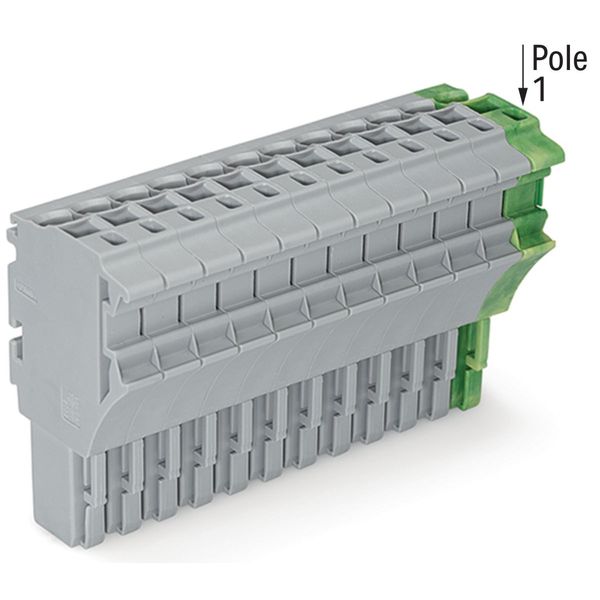 1-conductor female connector Push-in CAGE CLAMP® 4 mm² gray, green-yel image 1