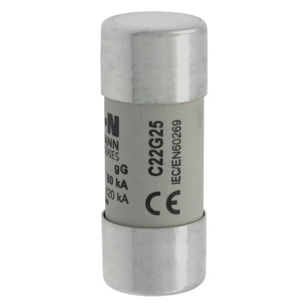 Fuse-link, LV, 25 A, AC 690 V, 22 x 58 mm, gL/gG, IEC image 17