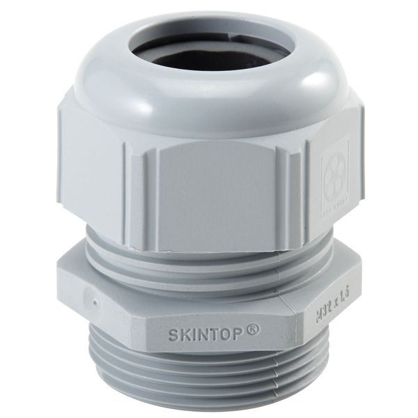 SKINTOP STR-M 16x1,5 RAL 7001 SGY image 2