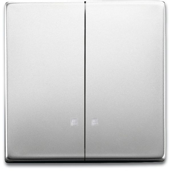 1785 K-866 CoverPlates (partly incl. Insert) pure stainless steel Stainless steel image 1