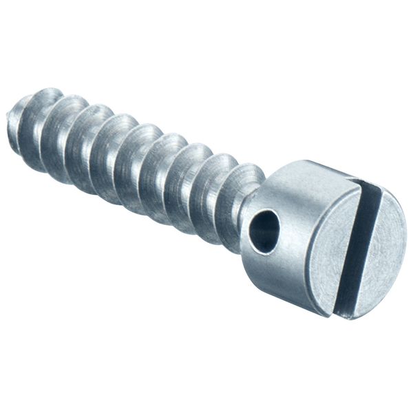 Sealing screws L=40 mm, with cross hole in screw head image 1